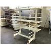 Image 1 : MULTI PURPOSE MOBILE RACK WITH SHELVES