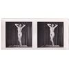 Image 3 : GERMAN EROTICA STEREO PHOTOS (10)