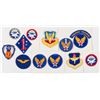 Image 1 : USAAF AND PARATROOPER PATCHES (12)