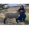 Image 1 : Tori Anderson - Wether - Bow Valley Beef & Multi 4-H Club