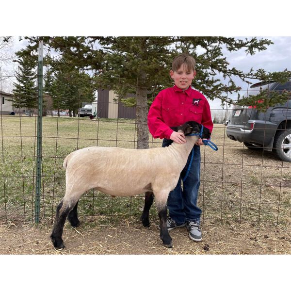 Brett Baldock - Wether - Irricana 4H Beef and Multi