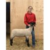 Image 1 : Payton Rempfer - Wether - Irricana 4H Beef and Multi