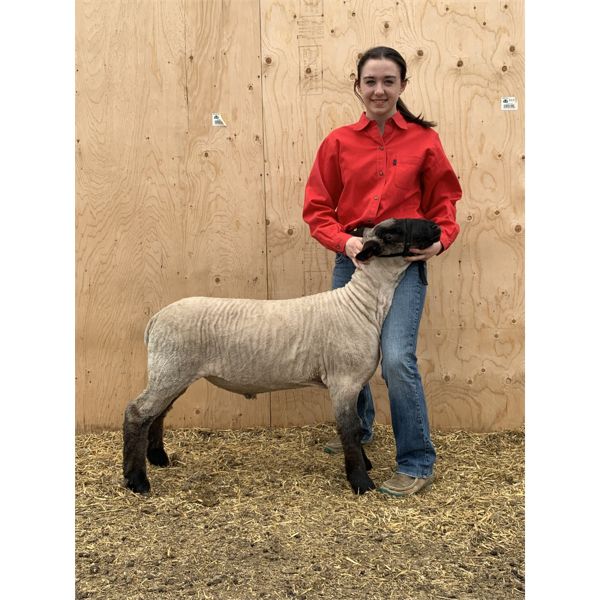 Dakota Rempfer - Wether - Irricana 4H Beef and Multi