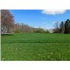 Image 12 : LOT#3: COMBO OF LOT #1 & LOT#2