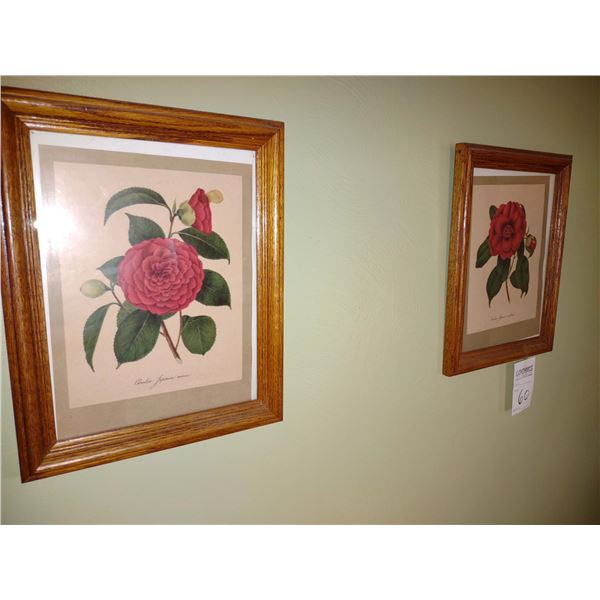 PAIR OF FRAMED FLORAL PRINTS