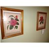 Image 1 : PAIR OF FRAMED FLORAL PRINTS