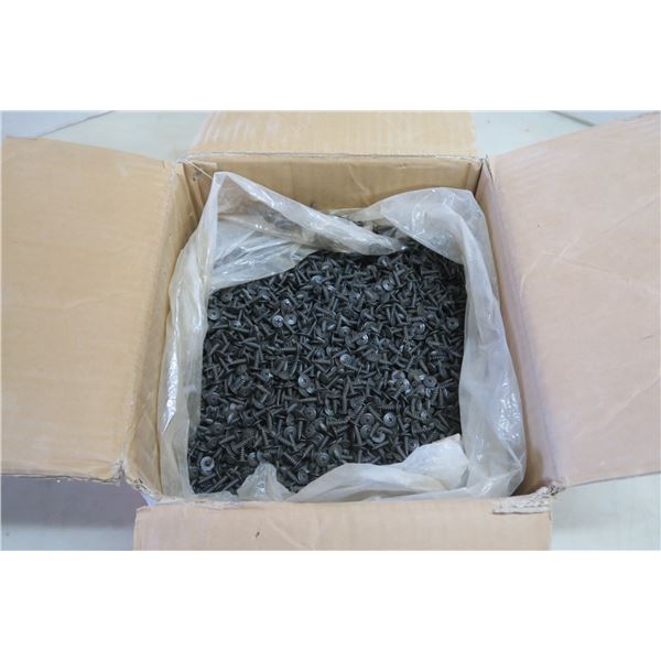 Opened Box of Wafer Head #2 Phillips Recessed Screws - 8x9/16"