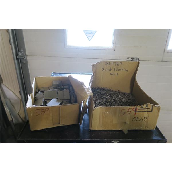 Lot of 2" Staples & 2" Finishing Nails - Approx. 10lbs of each