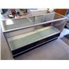 Image 1 : 72x21x37" Glass Display Case