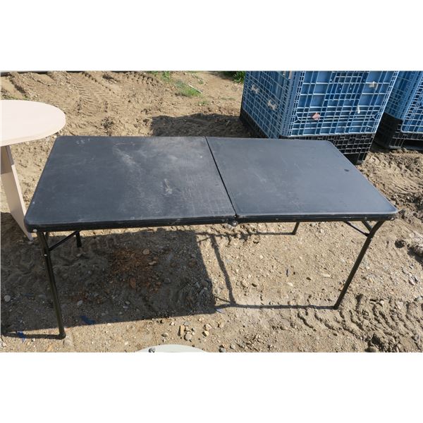 Fold Out Table - 28x60"