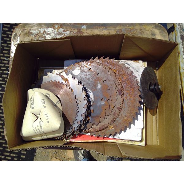 Box of Circular Saw Blades