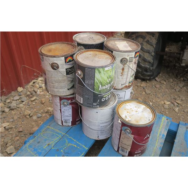 9 Gal. Tinted Paint Unused, Just Needs Shaken