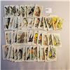 Image 1 : large lot of 1938 Arm & Hammer Useful Birds of America Series 10 and Red Rose Blue Ribbon Tea cards 