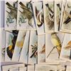 Image 2 : large lot of 1938 Arm & Hammer Useful Birds of America Series 10 and Red Rose Blue Ribbon Tea cards 