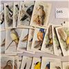 Image 3 : large lot of 1938 Arm & Hammer Useful Birds of America Series 10 and Red Rose Blue Ribbon Tea cards 