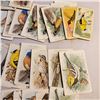 Image 4 : large lot of 1938 Arm & Hammer Useful Birds of America Series 10 and Red Rose Blue Ribbon Tea cards 