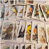 Image 5 : large lot of 1938 Arm & Hammer Useful Birds of America Series 10 and Red Rose Blue Ribbon Tea cards 