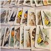 Image 7 : large lot of 1938 Arm & Hammer Useful Birds of America Series 10 and Red Rose Blue Ribbon Tea cards 