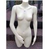 Image 1 : Thigh length mannequin with removable arms.