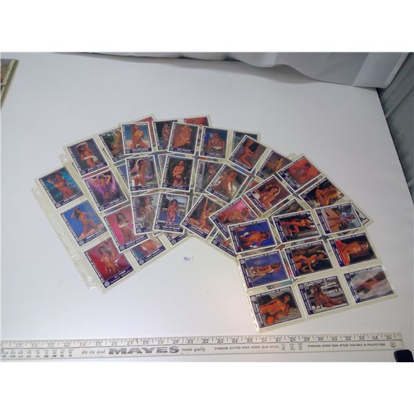 (63) Doll House of America Card Series II