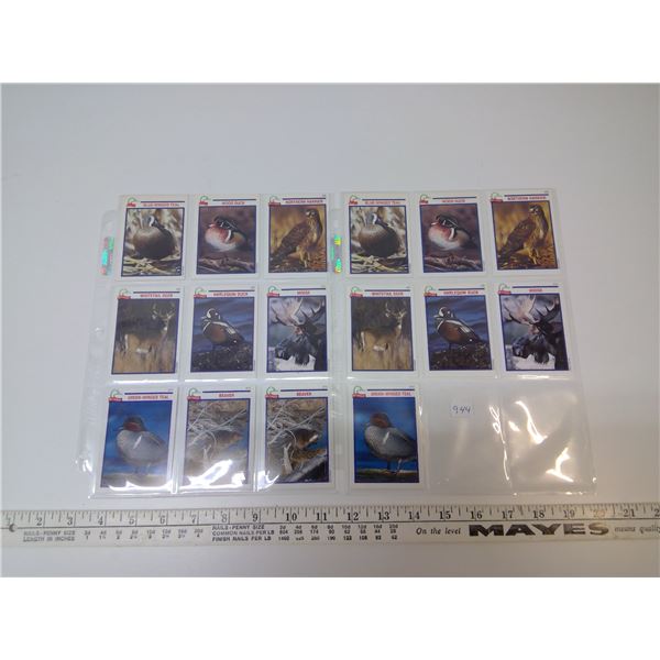 (16) Duck Unlimited Canada Cards "Wetlander" 1990's