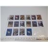 Image 2 : (16) Duck Unlimited Canada Cards "Wetlander" 1990's