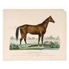 Image 1 : Currier & Ives Lithograph, Lexington. The Great Monarch of the Turf and Sire of Racers,