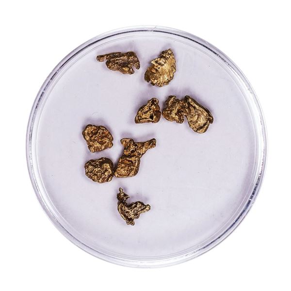 Lot of Gold Nuggets 2.26 Grams Total Weight