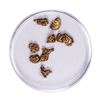 Image 1 : Lot of Gold Nuggets 2.26 Grams Total Weight