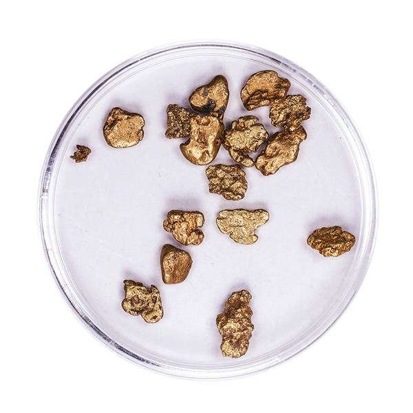 Lot of Gold Nuggets 4.65 Grams Total Weight