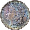 Image 4 : 1889 $1 Morgan Silver Dollar Coin NGC MS64 Amazing Toning