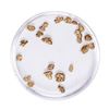 Image 1 : Lot of Gold Nuggets 1.56 Grams Total Weight