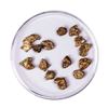 Lot of Gold Nuggets 4.46 Grams Total Weight