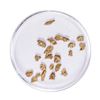Image 1 : Lot of Gold Nuggets 1.16 Grams Total Weight