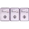 Image 1 : Lot of (3) 2021 Great Britain 10 Pounds Britannia 1/10oz Platinum Coins NGC MS69