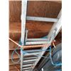 Image 3 : Extension Ladder Cat C