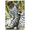 Image 1 : Vera V. Goncharenko- Original Oil on Canvas "Roar"