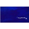 Image 3 : Wyland- Original Painting on Canvas "Deep Sea"