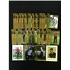 Image 1 : TIGER WOODS GOLF CARD LOT