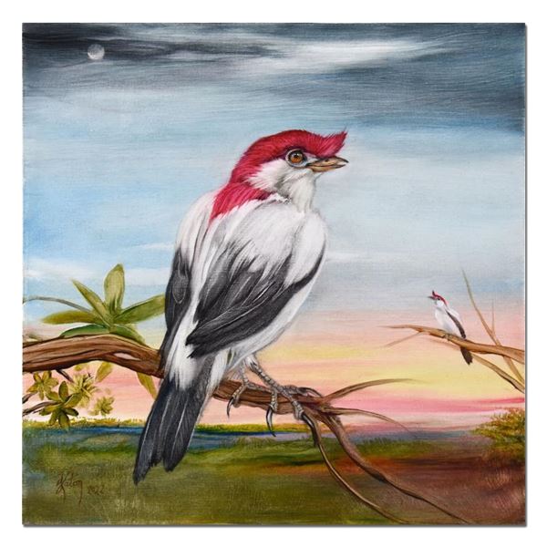 Araripe Manakin by Katon Original