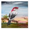 Image 1 : Araripe Manakin by Katon Original