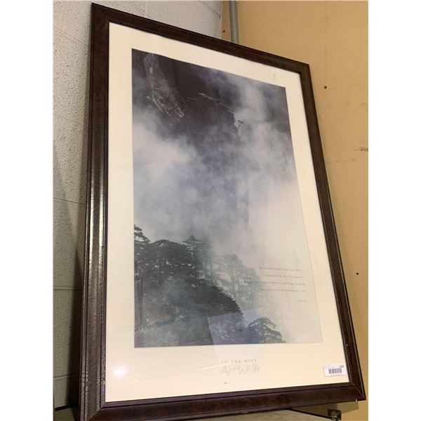 "In The Mist" Art Wolfe Framed Print