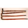Image 1 : Canes from Botswana (4)  [131421]