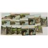 Image 1 : Mountain Incline Railway Catalina Island Calif  Postcards (rare)  [147097]