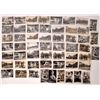 Image 1 : Will Rogers Santa Monica Home RPC Postcards (50)  [147568]