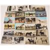 Image 1 : Horse Postcards (75)  [134769]