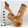 Image 1 : Box Wood Root Sculpture  [149216]