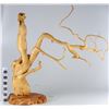 Image 2 : Boxwood Root Sculpture  [149196]