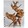 Image 3 : Root Sculpture Dragon  [149073]