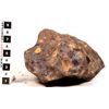 Image 1 : Meteorite, FeNi - 147 pounds  [149141]